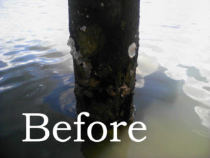Before Piling Restore